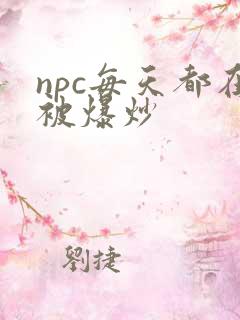 npc每天都在被爆炒