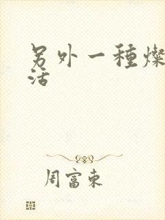 另外一种灿烂生活