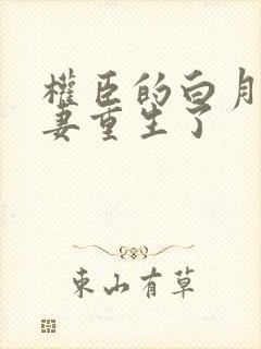 权臣的白月光前妻重生了