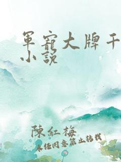 军宠大牌千金 小说
