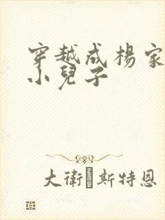 穿越成杨家将最小儿子