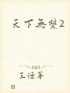 天下无双2