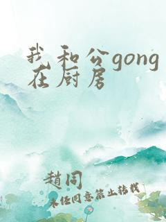 我和公gong在厨房
