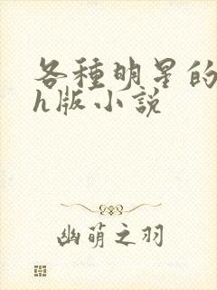 各种明星的综艺h版小说