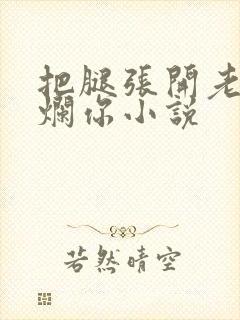 把腿张开老子臊烂你小说