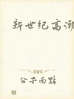 新世纪高潮战队