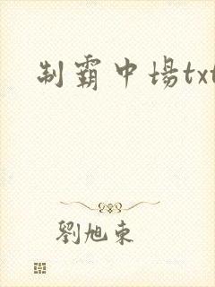 制霸中场txt