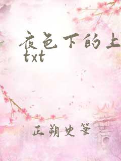 夜色下的上海滩 txt