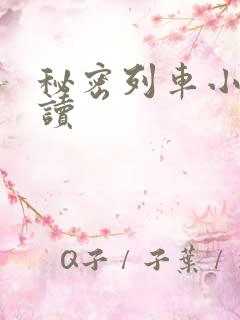 秘密列车小说阅读