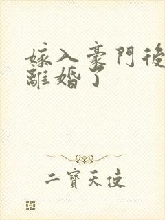 嫁入豪门后我又离婚了