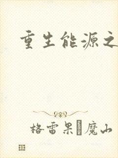 重生能源之王
