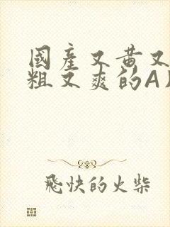 国产又黄又猛又粗又爽的A片小说