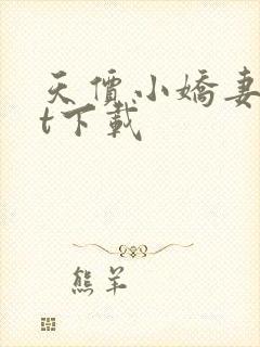 天价小娇妻txt下载