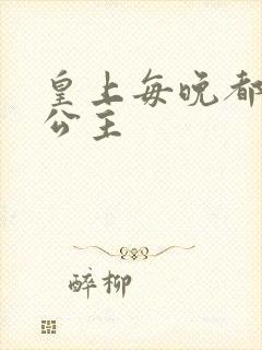 皇上每晚都要H公主