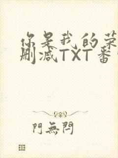 你是我的荣耀未删减TXT番外