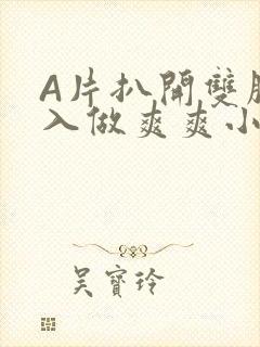 A片扒开双腿进入做爽爽小说