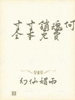 寸寸销魂何生祥全本免费