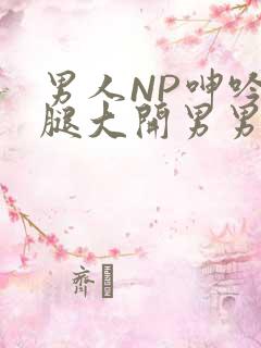 男人NP呻吟双腿大开男男小说