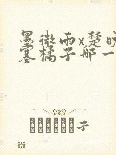 墨微雨x楚晚宁塞橘子哪一章