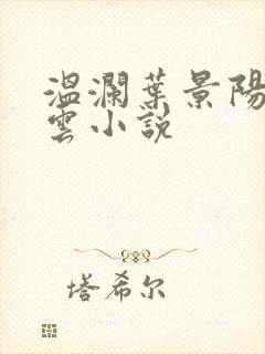 温澜叶景阳温云云小说