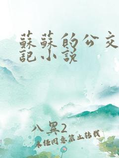 苏苏的公交车日记小说