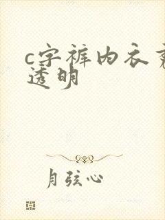 c字裤内衣秀全透明