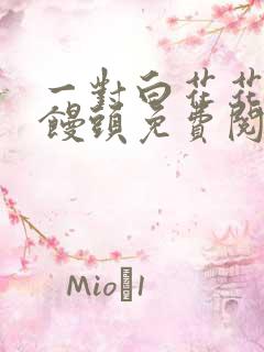 一对白花花的大馒头免费阅读