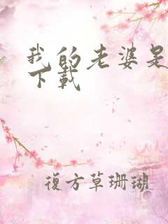 我的老婆是卧底下载