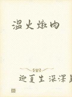 温火炖肉