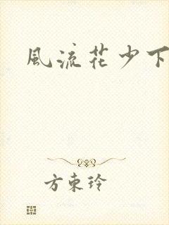 风流花少下载