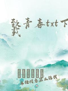 致青春txt下载