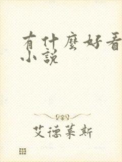 有什么好看的h小说