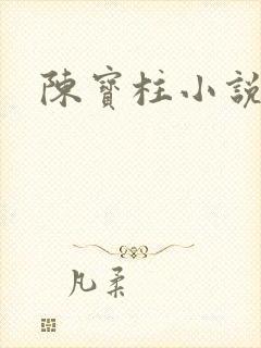 陈宝柱小说