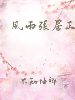 风雨张居正下载