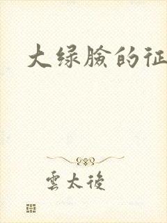 大绿脸的征途