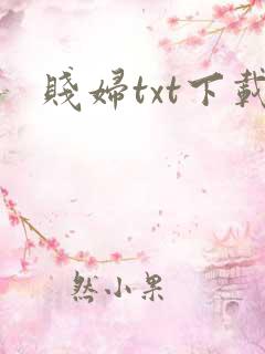 贱妇txt下载