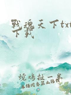 战魂天下txt下载