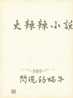 火辣辣小说全集