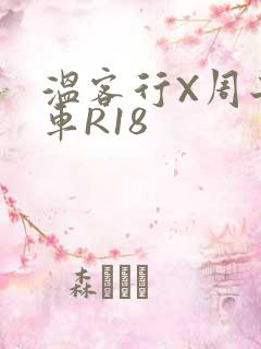 温客行X周子舒车R18
