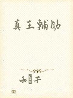 真王辅助