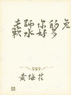 老师你的兔子好软水好多