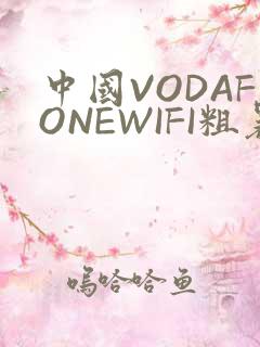中国VODAFONEWIFI粗暴APP
