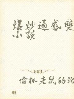 爆炒通感双胞胎小说