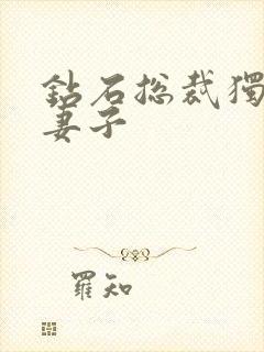 钻石总裁独宠小妻子