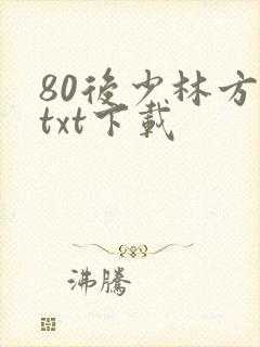 80后少林方丈txt下载