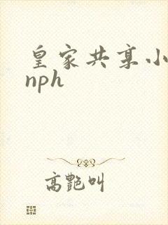 皇家共享小公主nph