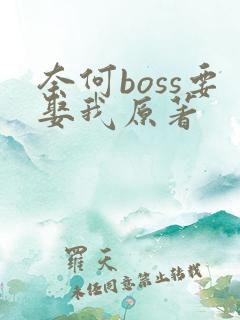 奈何boss要娶我原著