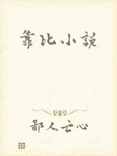 靠比小说