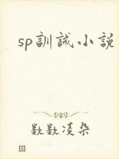 sp训诫小说