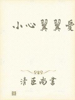 小心翼翼爱上你